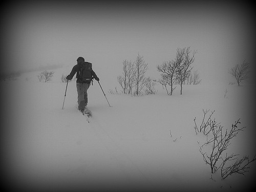 25 cm nysnø på Olahansfjellet og lovnad om eit flott nedrenn :)