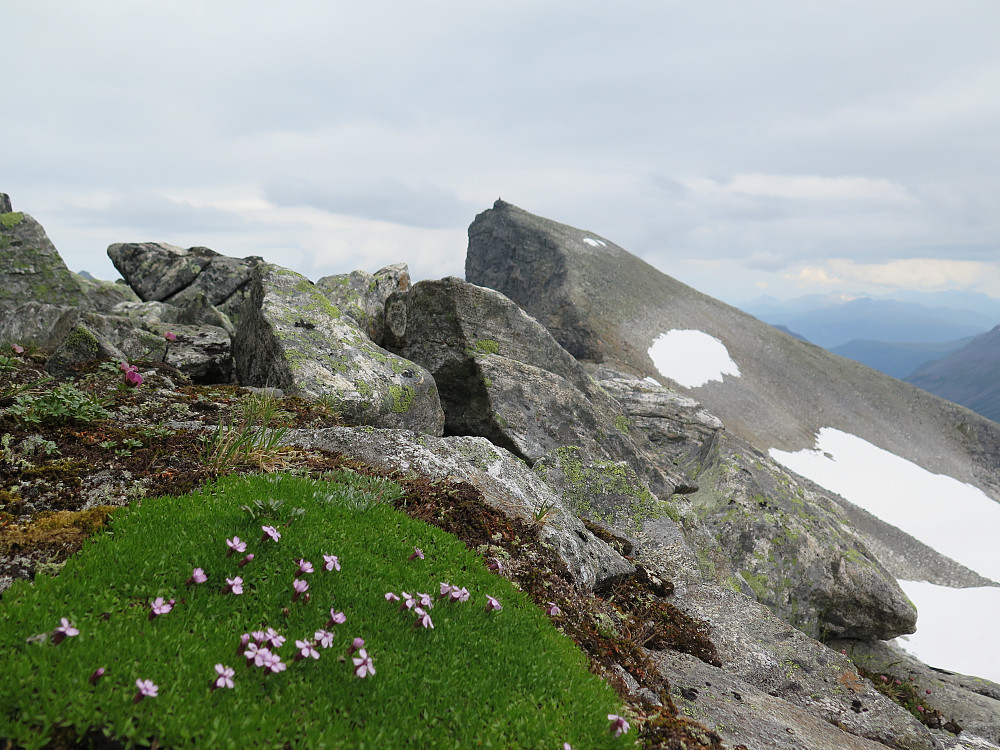 Skruven 1584 m