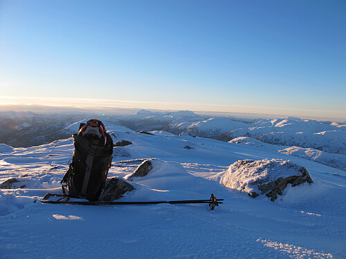 Storehesten i Bygstad 