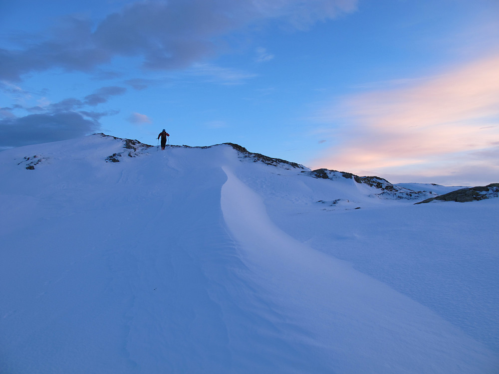 Meskredholten 805 moh