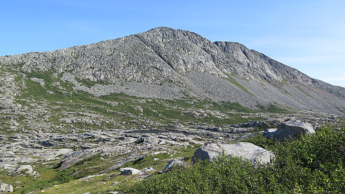Mot Kula 770 moh