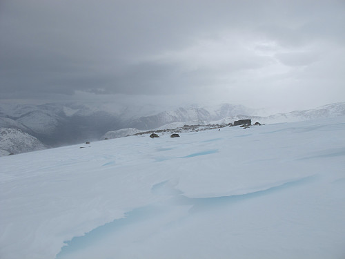 Ola Hansen 1215 moh 