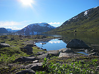 eikås_img_0680.jpg