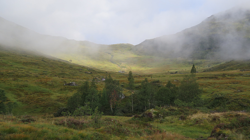 Trollsk morgen tåke på Bergstøylen