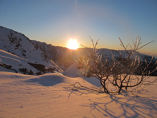 Frå Storfjellet 950 moh (Haram) Vinter idyll :)
