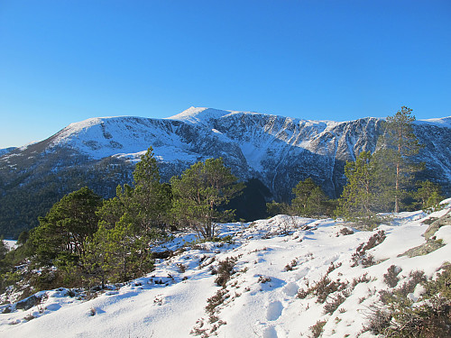 Frå Grøtshornet 663 moh 