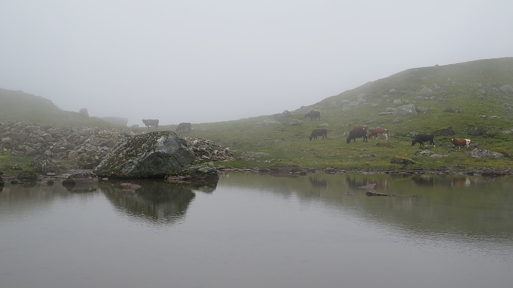 Stegsvatnet