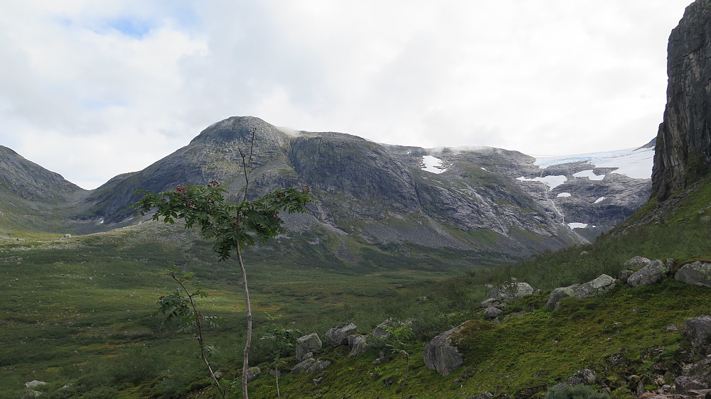 Frå Rambjørgebotnen (Bjørga 1551 m) mot Strupen og Kvannebakkbu ved Jostedalsbreen