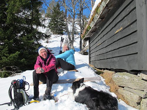 Irene, Mona og Zac nyt solstrålane og varmen i solveggen på Uppstuns støylen etter eit besøk på toppen av Eikåsnipa :)