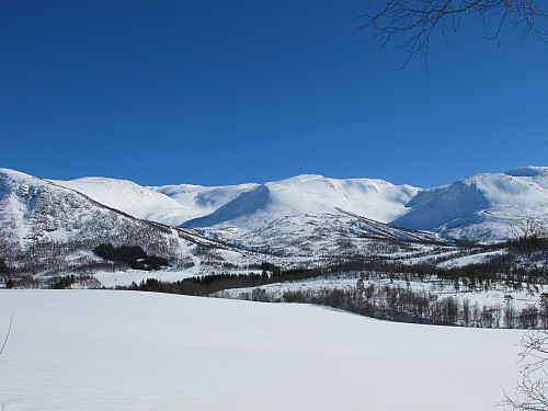 Dvergsdalen og mot Grovabreen