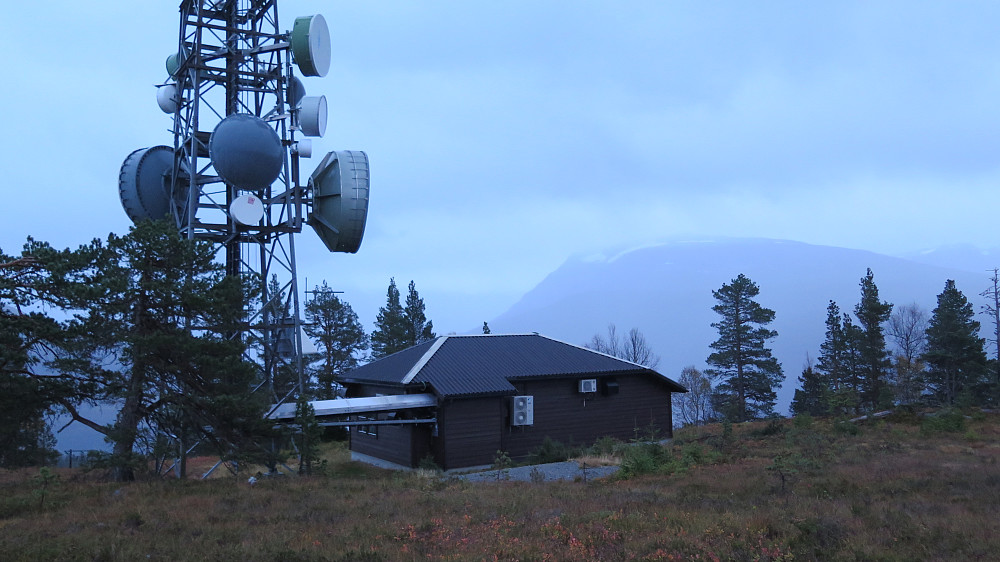 Frå Svarstadveten 591 moh