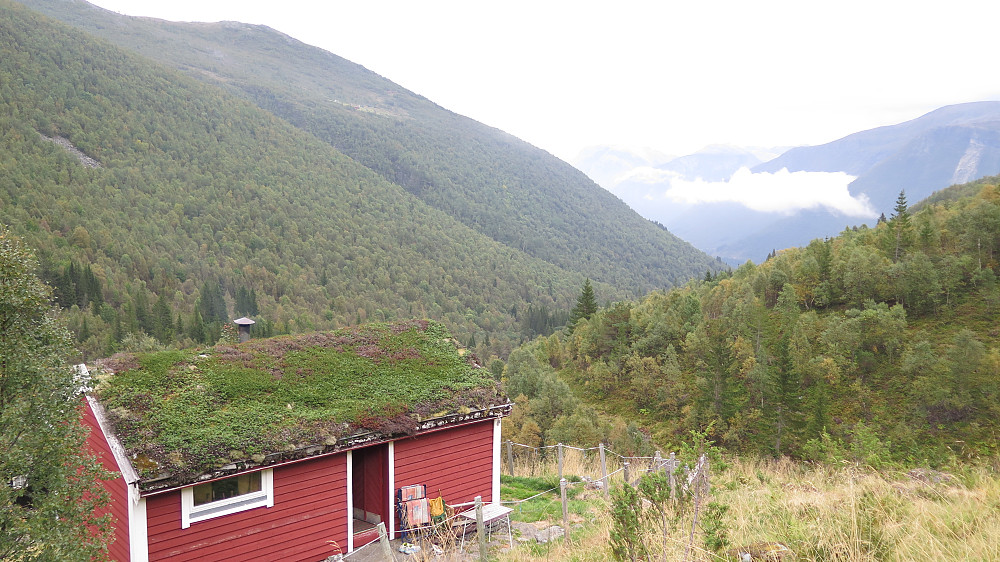 Mosetra i Modalen