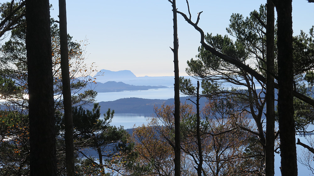 Hærleg å sjå favoritt fjellet mitt Alden :)