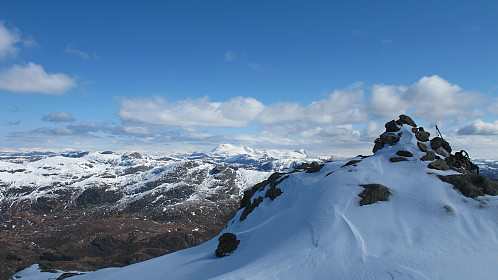 Storehesten i Bygstad 