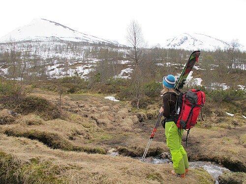 Mot Nyken og Grovabreen frå Dvergsdalen
