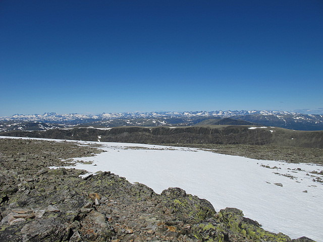 Nydeleg utsikt frå Ranastøngji 1903 moh mot heile Jotunheimen