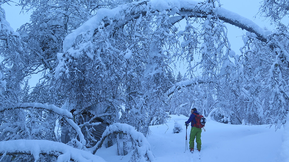 Stille på Uppstunsstøylen