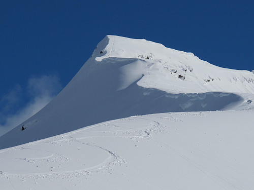 Daurmål ein flott skitopp