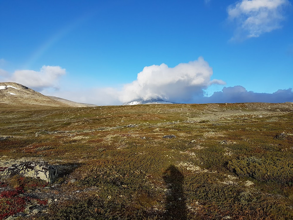 Besshøe i skyene
