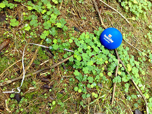 Ballong midt i bushen