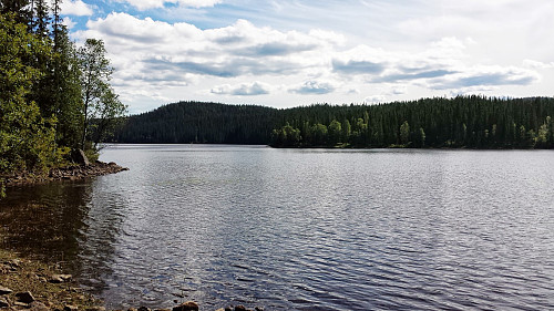 Spålen