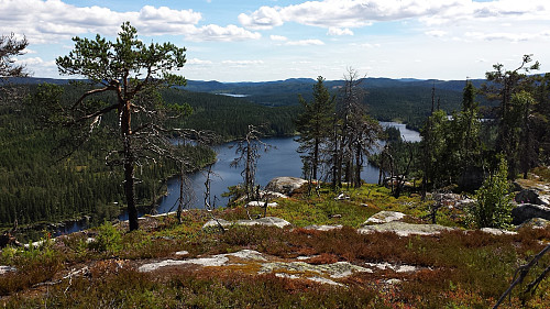 Branntomt på Pershusfjellet