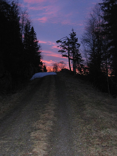 Retur fra Stuteskallen
