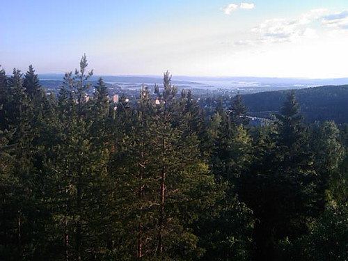 Utsikt fra Årvollåsen