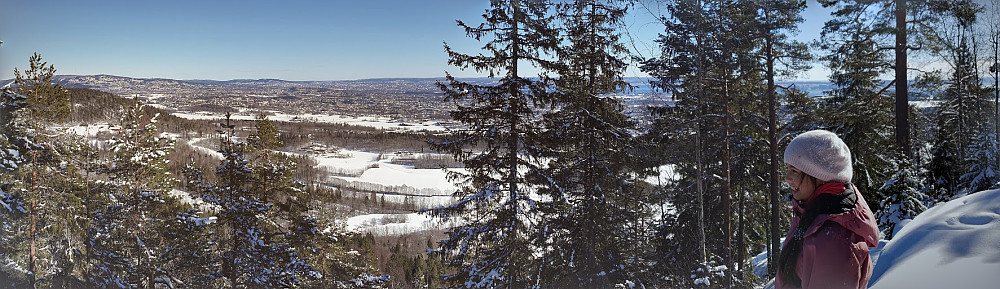 Panoramautsikt