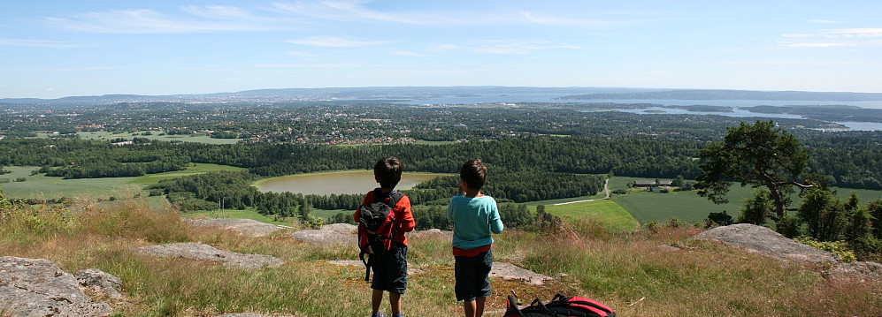 Gråmagen view