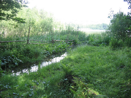 Gutten med seljefløyten, men hvor er gutten?