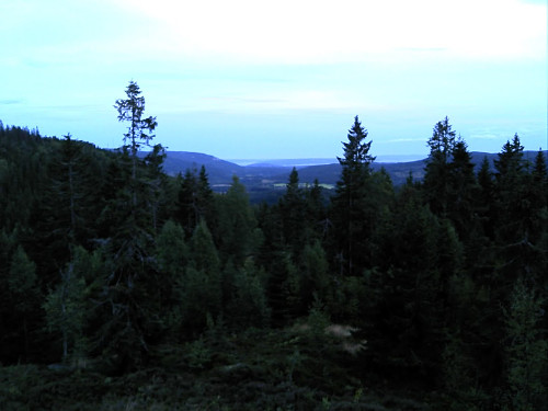 Sørkedalen View