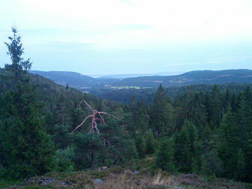 Sørkedalen View