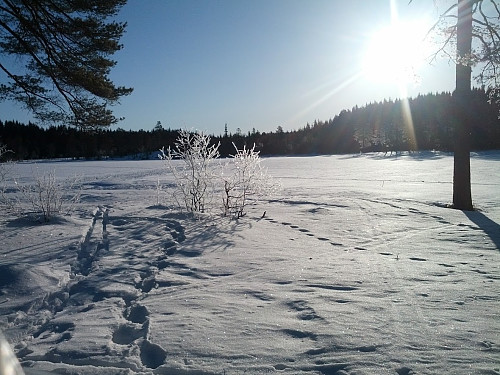 Vinterlandskap ved Hvitsteinvann