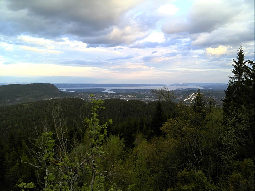 Haugskollen