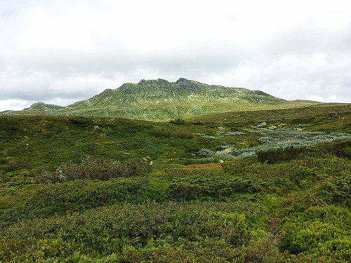 Ranten sett fra Tempelnatten