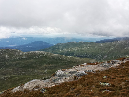 Laksejuv