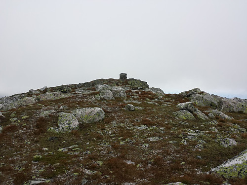 Gråfjellvarden