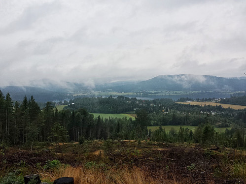 Glesne og Flaget