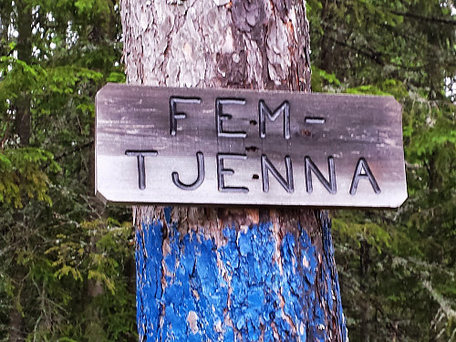 Femtjenna