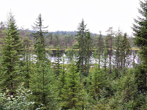 Igletjern