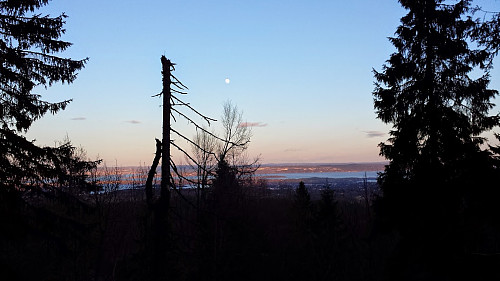 Månelyst over Ramsåsen