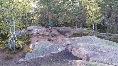 Vardåsen stikryss