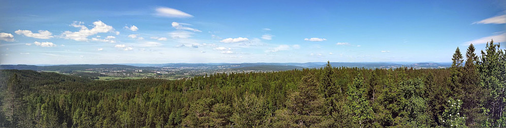 Bjønnåsen panorama