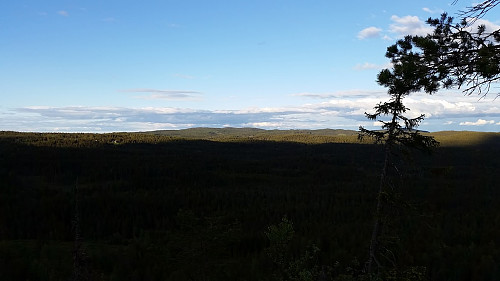 Mot Løvlia