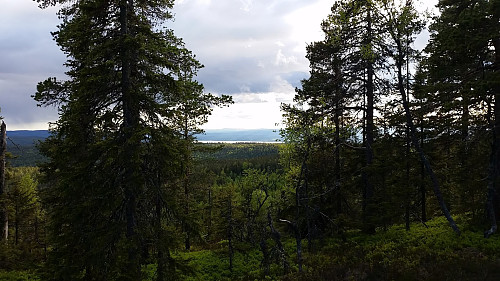 Mot Tyrifjorden