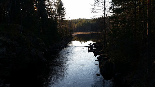 Gåslungen