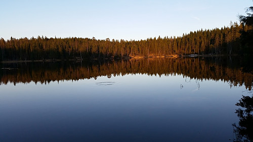 Fiskevak i Finntjern