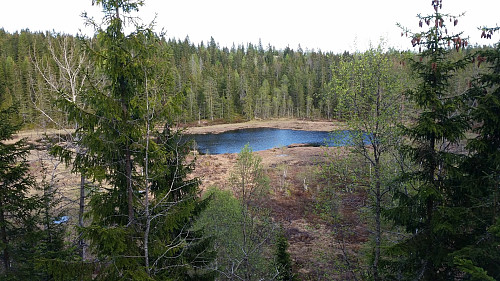 Blekketjern