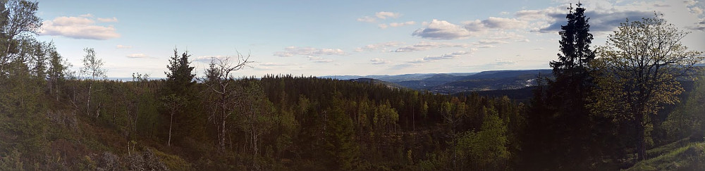 Tjæregrashøgda panorama